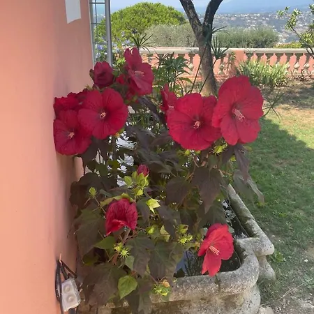 D'hotes Duplex Le Petit Mas Nicois De La Rose