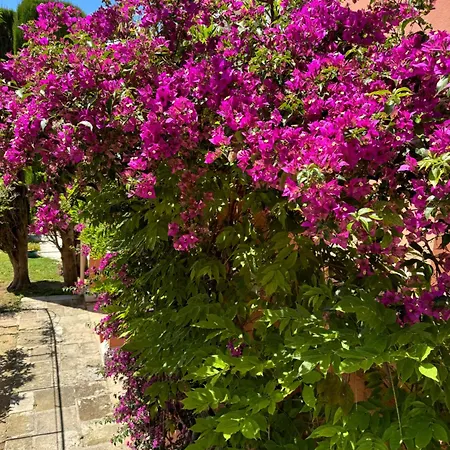 Bed & Breakfast D'hotes Duplex Le Petit Mas Nicois De La Rose