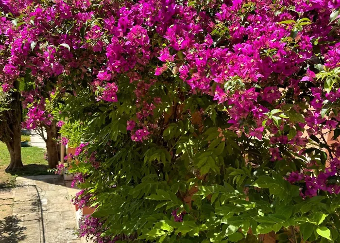 Bed and Breakfast D'hotes Duplex Le Petit Mas Nicois De La Rose