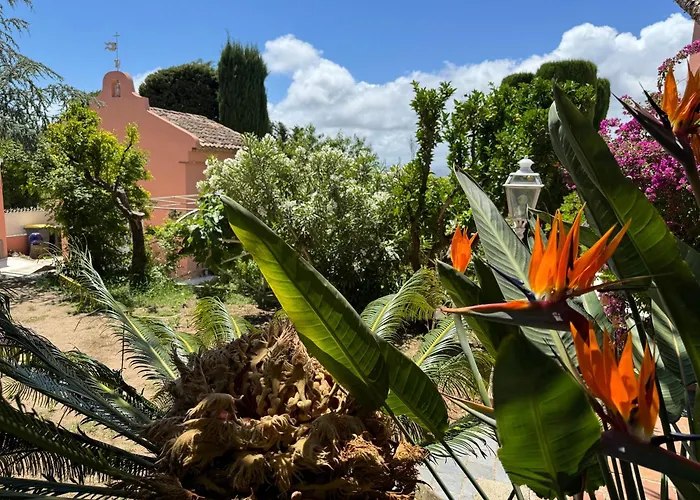 Bed and Breakfast D'hotes Duplex Le Petit Mas Nicois De La Rose