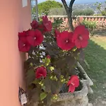 D'hôtes Duplex Le Petit Mas Niçois De La Rose